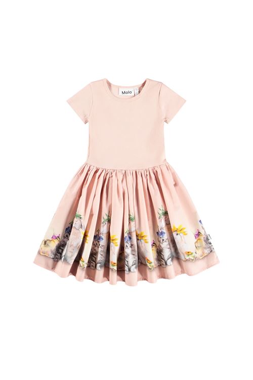  MOLO | 2S26E1025228CITRUS