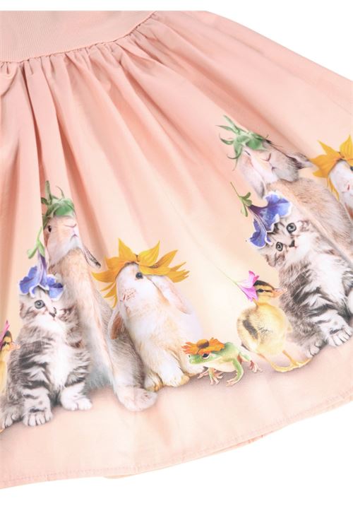  MOLO | 2S26E1025228CITRUS